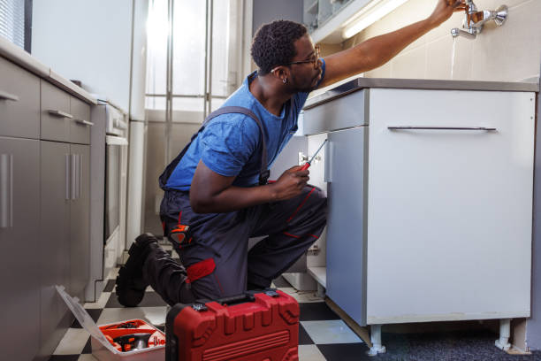 Best Septic Systems  in Stillwater, MN